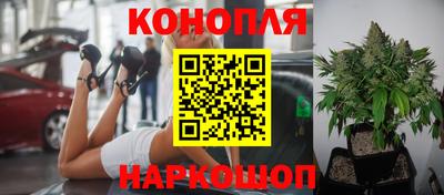 твердый Нальчик